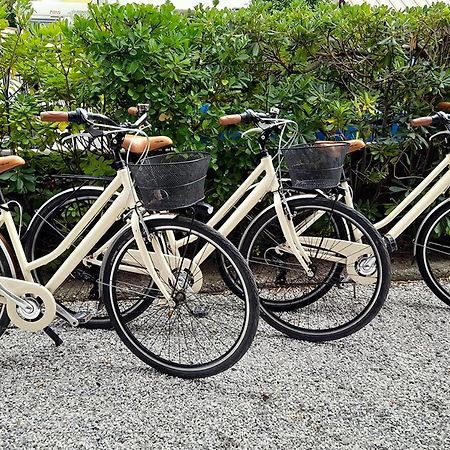 Ampio, Elegante Apt Con Aria Condizionata E Bici Gratis เวียเรจโจ ภายนอก รูปภาพ