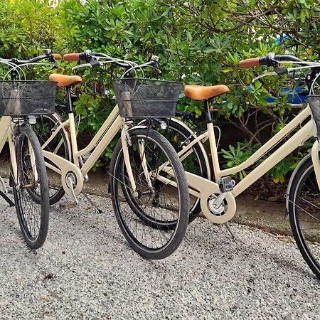 Ampio, Elegante Apt Con Aria Condizionata E Bici Gratis เวียเรจโจ ภายนอก รูปภาพ