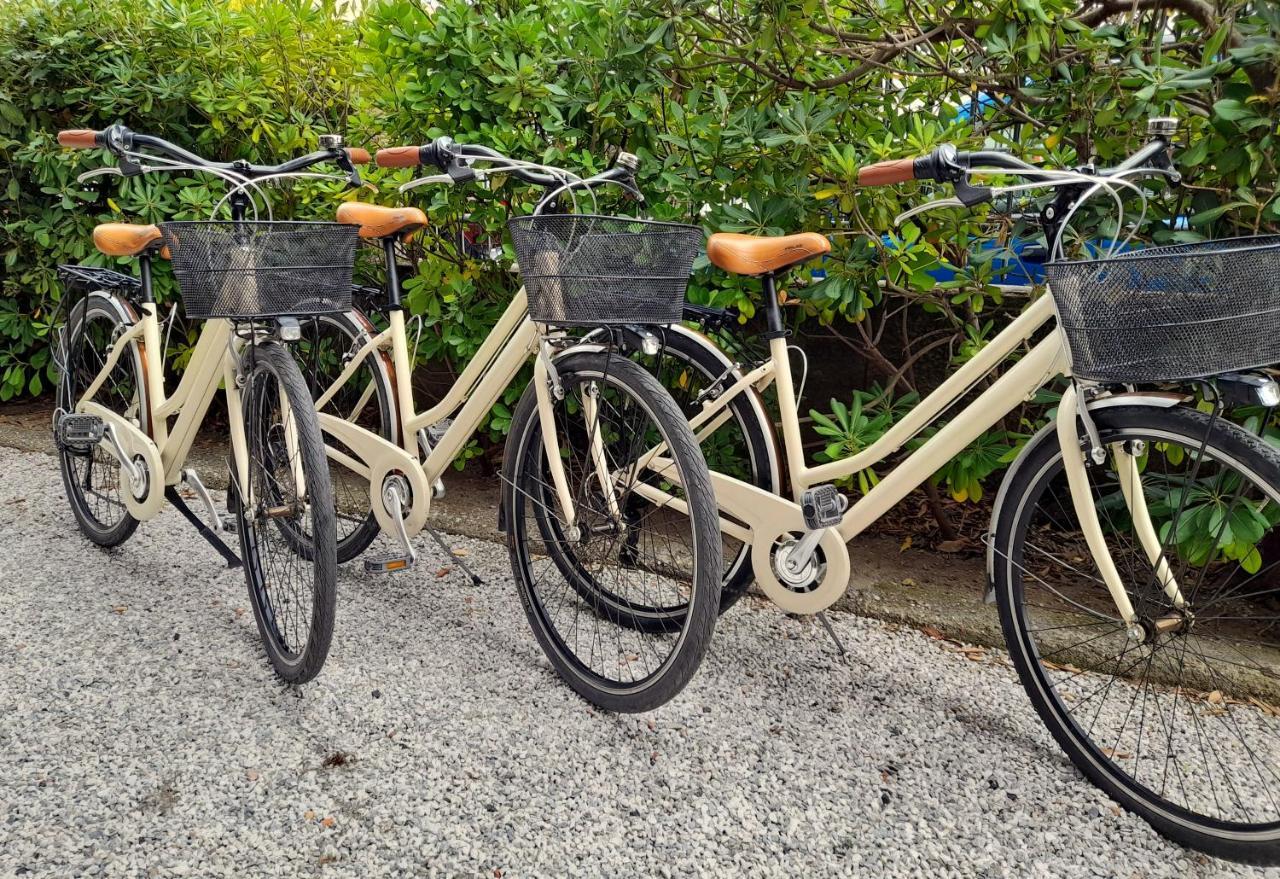 Ampio, Elegante Apt Con Aria Condizionata E Bici Gratis เวียเรจโจ ภายนอก รูปภาพ